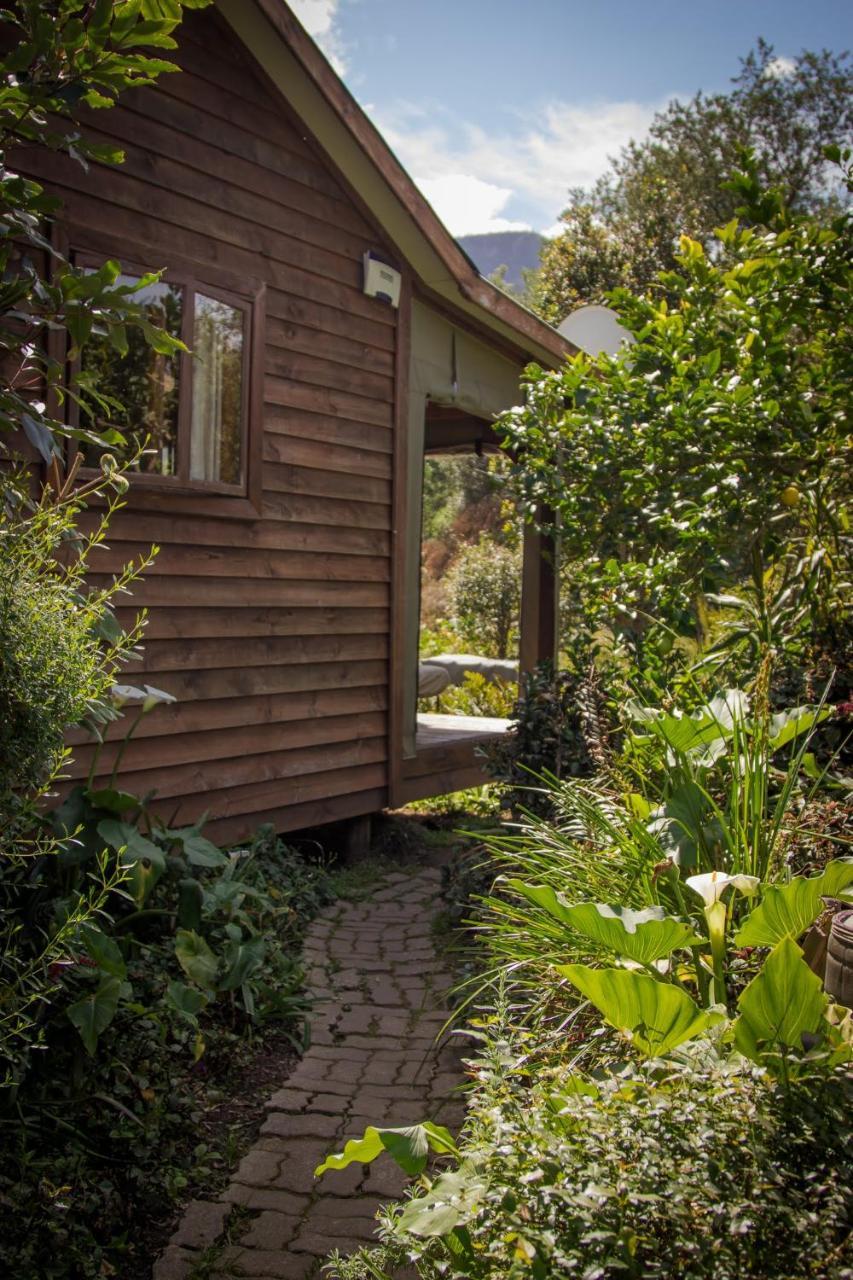 Pear Tree Cottage Stormsrivier Exteriér fotografie