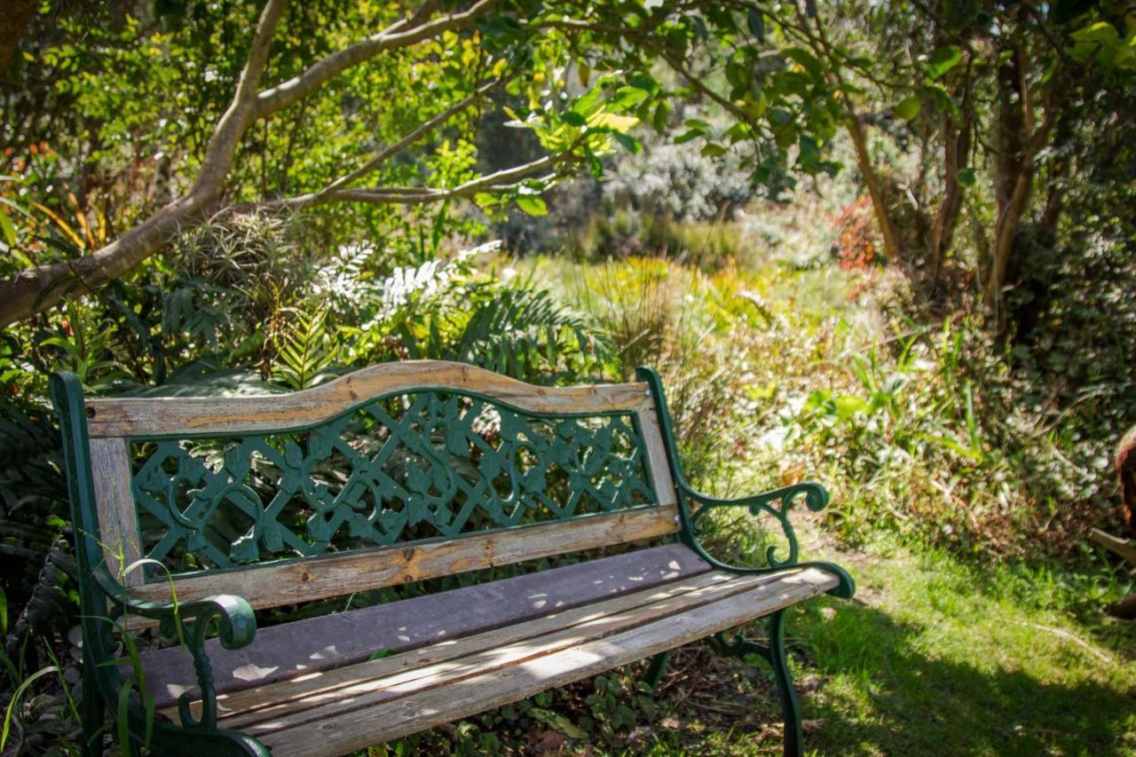 Pear Tree Cottage Stormsrivier Exteriér fotografie